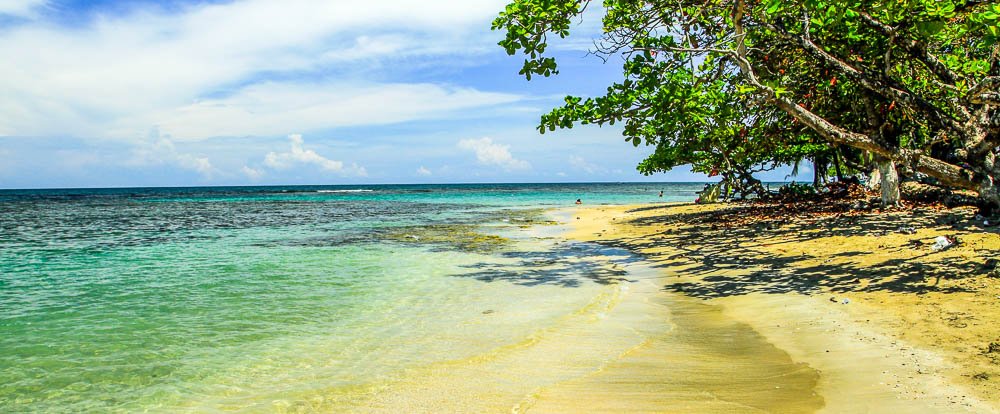 sb pv p beaches playa chino coastal almonds 
 - Costa Rica