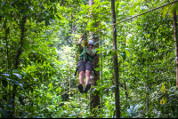        Man Zip Lining Osa Palmas Canopy Tour
  - Costa Rica