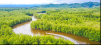        sierpe wetlands aerial views 
  - Costa Rica