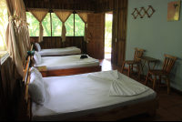        turtle beach lodge rooms 
  - Costa Rica