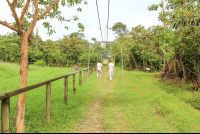        Guide Leading To Historic Site
  - Costa Rica