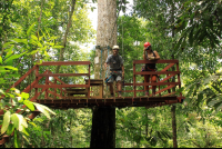        hacienda baru attraction platform 
  - Costa Rica
