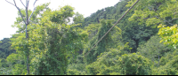        Zipline Canopy Mal Pais
  - Costa Rica