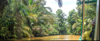        tortuguero all inclusive tour page suerte river 
  - Costa Rica