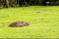        Finca  Sphere Park Two Stones Aligned
  - Costa Rica