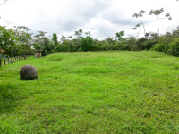        old site where main hut was built shere park finca 
  - Costa Rica