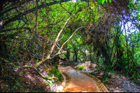        trails poas volcano 
  - Costa Rica