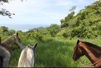        three horse panoramic punta islita 
  - Costa Rica