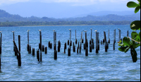        cahuita national park attraction page old port 
  - Costa Rica