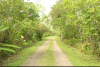        Sphere Park Entrace Path
  - Costa Rica