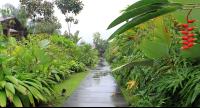        casa luna pathway 
  - Costa Rica