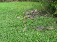        rock foundation for hut sphere park finca 
  - Costa Rica