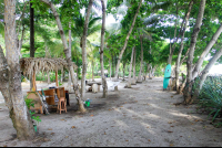        Beach Facilities
  - Costa Rica
