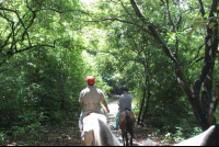        horseback tour punta islita 
  - Costa Rica