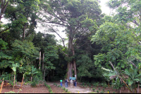        curi cancha entrance 
  - Costa Rica