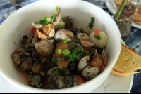        la parcela clams 
  - Costa Rica