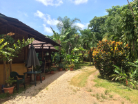        exterior tierra y fuego 
  - Costa Rica