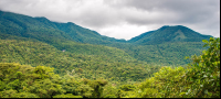        Tenorio Volcano From Platform View
  - Costa Rica