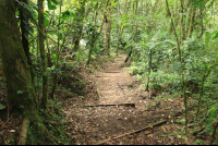        san gerardo starion trail 
  - Costa Rica