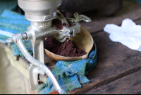        Tirimbina Ground Cocoa
  - Costa Rica