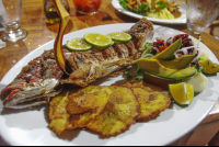        fried whole red snapper kmbute
  - Costa Rica