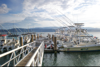        Crocodile Bay Resort Pier With Boats
  - Costa Rica