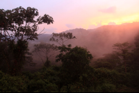        pocosol sunset 
  - Costa Rica