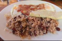       Gallo Pinto Close Up
  - Costa Rica
