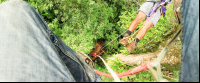        hacienda baru attraction tree climb 
  - Costa Rica