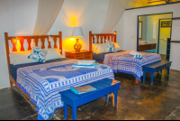        Blue Osa Room  Matapalo
  - Costa Rica