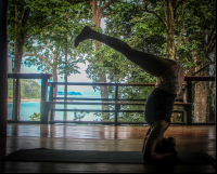        View From The Yoga Studio Encanta La Vida Matapalo Costa Rica
  - Costa Rica