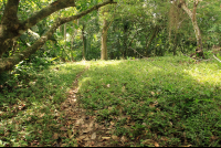       caribbean adventure snorkeling dolphin watching trail 
  - Costa Rica