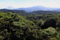        santa elena viewpoint arenal volcano 
  - Costa Rica