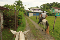        terraventuras beach horseback ride pueblos 
  - Costa Rica