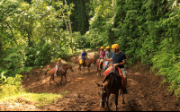        los suenos horses 
  - Costa Rica
